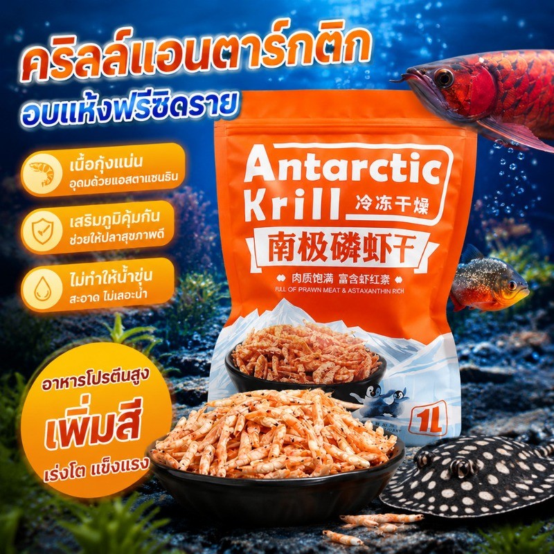 อาหารปลา ขนมแมว กุ้งคริลล์แอนตาร์กติกาอบแห้ง โปรตีนสูง สำหรับอโรวาน่า ออสการ์ ปลาหมอสี น้ำไม่ขุ่น