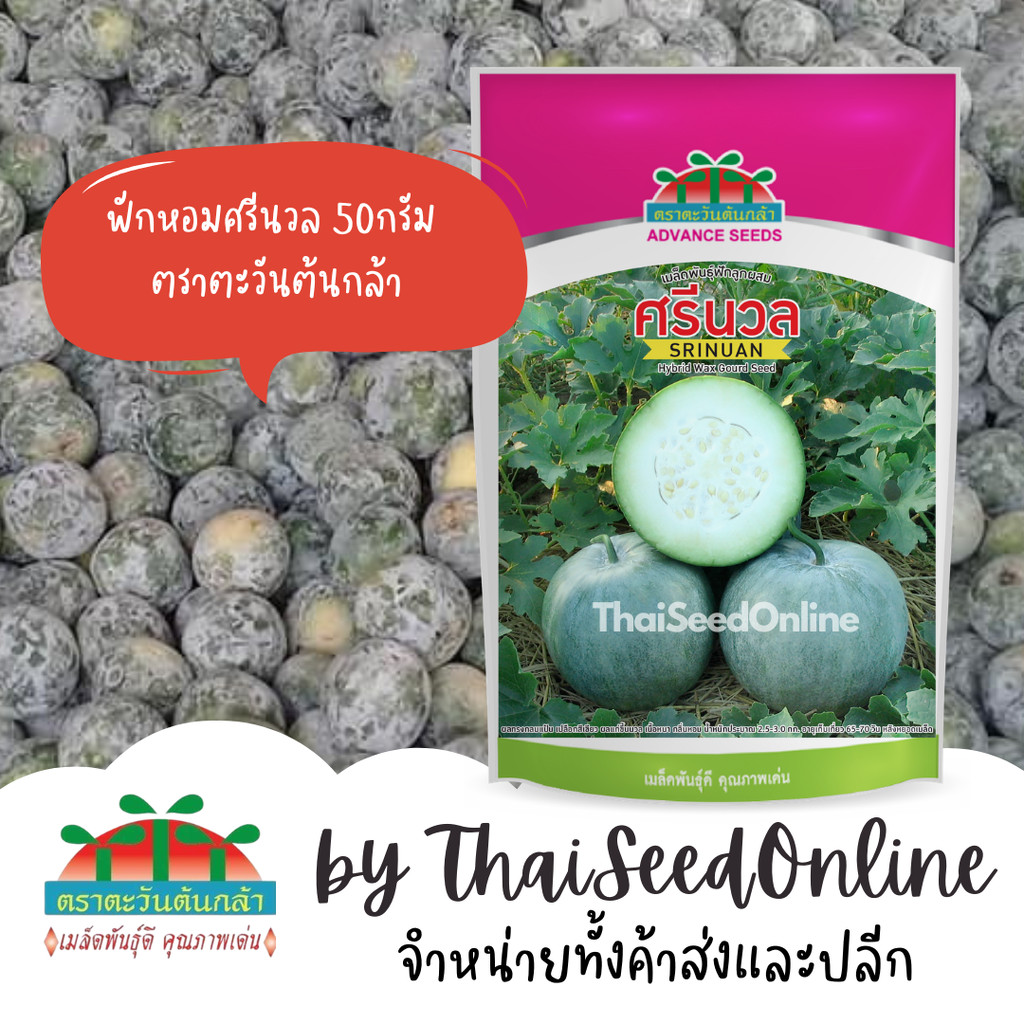ADV แบบซอง 50กรัม Exp.8/2027 เมล็ดพันธุ์ ฟักหอมลูกผสม ศรีนวล ตราตะวันต้นกล้า