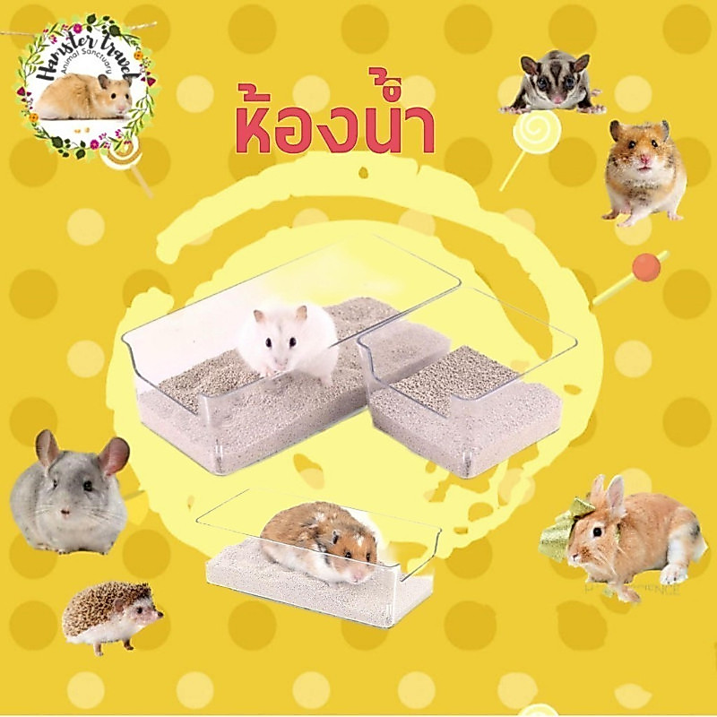 [hamstertravel]กระบะอาบทรายแฮมสเตอร์ แบบใส ดีไซน์สวย ใช้งานง่าย ล้างง่าย ไม่อับชื้น เหมาะสำหรับสัตว์เลี้ยงตัวน้อยทุกวัน