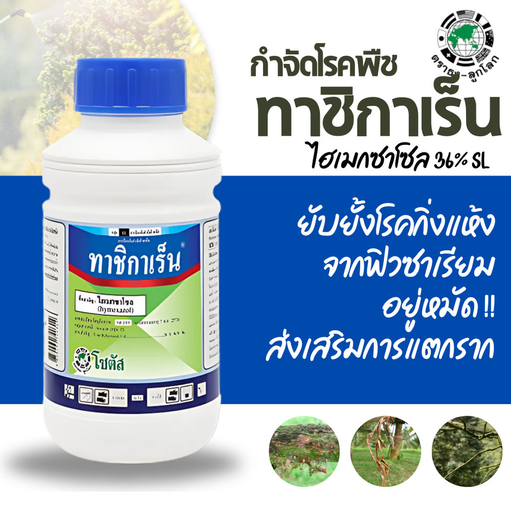 [100cc] ทาชิกาเร็น ขนาด 100 ซีซี ชื่อสามัญ:ไฮเมกซาโซล ป้องกันกำจัดโรคพืชชนิดดูดซึม
