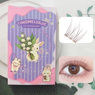 【ไม่ต้องใช้กาว】ขนตาปลอมแบบแยก簇 240 簇 สีน้ำตาลปลายหาง ธรรมชาติ ดูใส ติดเองไม่ต้องใช้กาว ใช้ได้หลายครั้ง เหมาะสำหรับมือใหม่และคอสเพลย์ พร้อมส่ง