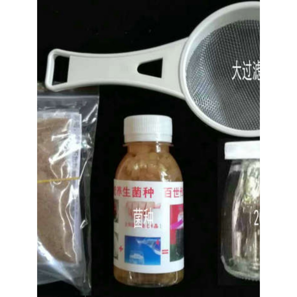 Premium Sun Bacteria Tibi Crystal Bacteria น้ําตาลทรายแดง Snow Lotus แบคทีเรียน้ํา Kefir Water Kefir