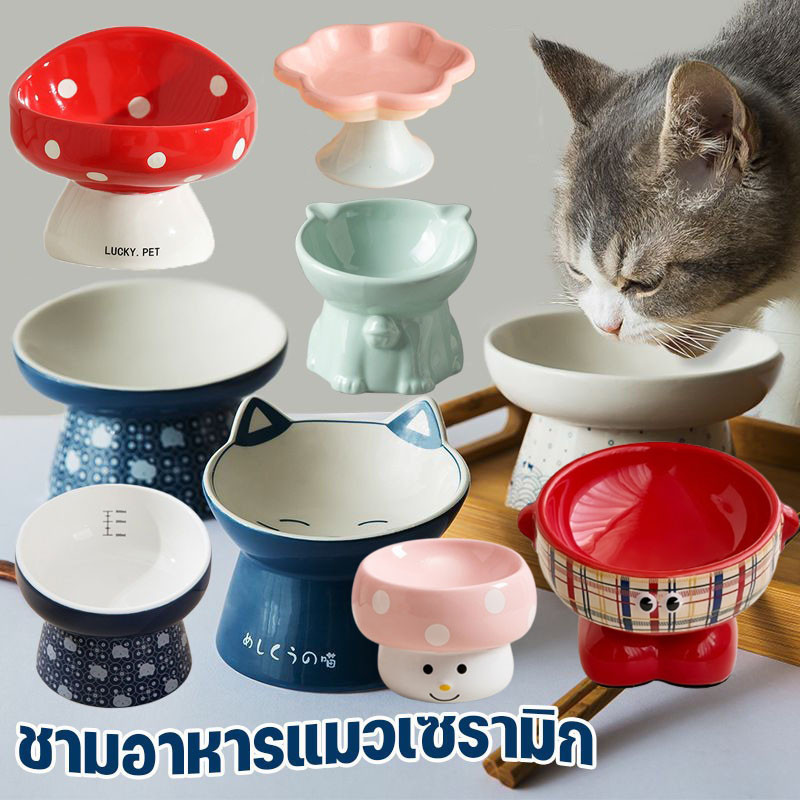 ชามอาหารแมวเซรามิก ชามอาหารแมว สไตล์ญี่ปุ่น แบบเอียง สําหรับสัตว์เลี้ยง สุนัข แมว