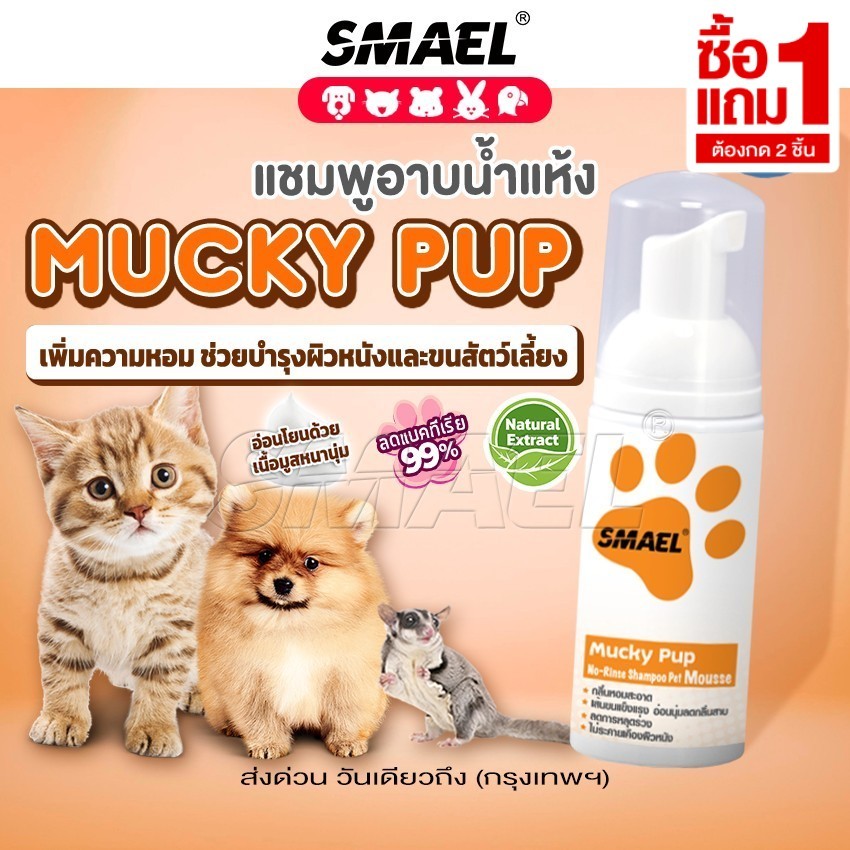 [ ซื้อ 1 แถม 1] Maelizz [SMAEL] Pet Mousse แชมพูอาบแห้ง 150 ml.โฟมอาบแห้ง สำหรับสัตว์เลี้ยง up2