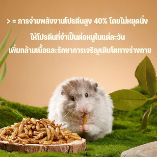 หนอนอาหาร หนอนอบแห้ง หนอนอาหารแห้ง อาหารหนูแฮมเตอร์ สัตว์เลี้ยงแมลงแห้ง หนอนนก 1500ml