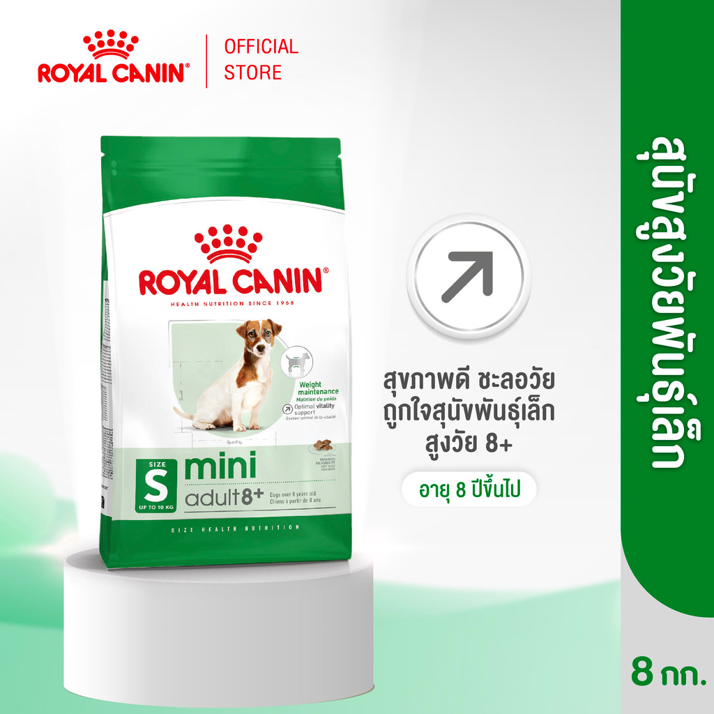 Royal Canin Mini Adult 8+ 8kg อาหารเม็ดสุนัขสูงวัย พันธุ์เล็ก อายุ 8 ปีขึ้นไป (Dry Dog Food, โรยัล คานิน)