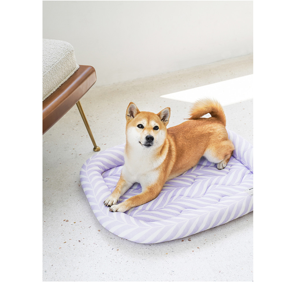 Zeze Summer Pet Ice Pad Cooling Kennel Cool Feeling Bite-Resistant Small Dog Teddy Dog Bed Summer Do