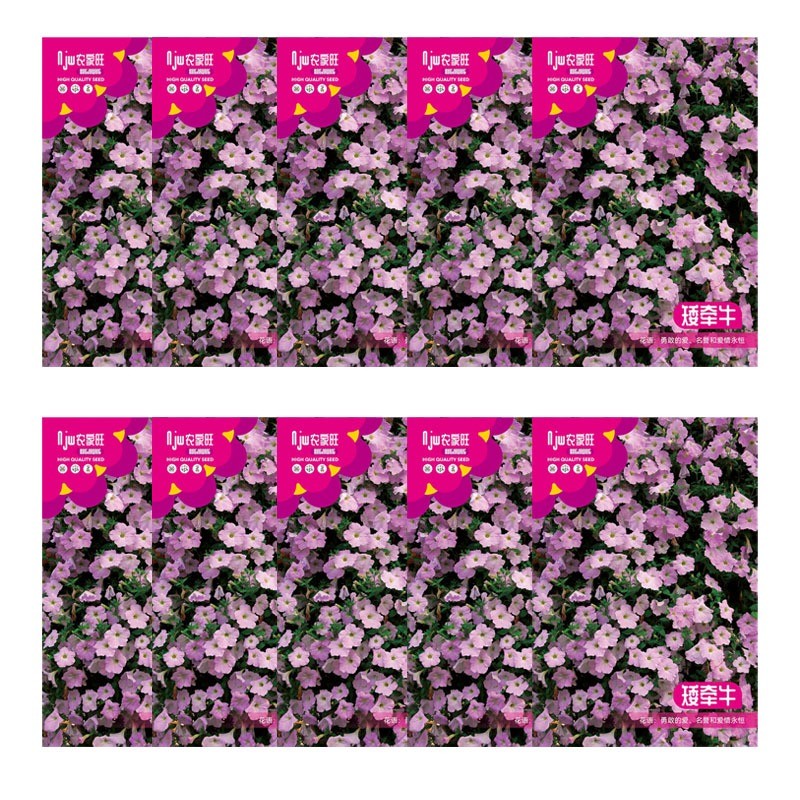 ซื้อ 5 แถม 5 ฟรี！เมล็ดพันธุ์ ดอกพีทูเนียเตี้ย คละสี 5000 เมล็ด Mixed Dwarf Petunia Flower Seed คละสีสวยปลูกง่าย - รูปที่ 7