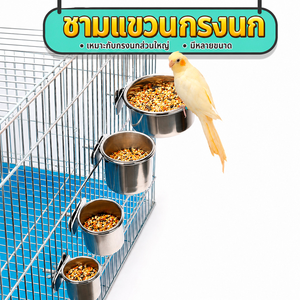 ถ้วยอาหารนก ถ้วยสแตนเลส ถ้วยอาหารแขวนกรง ที่ให้อาหารนก เลิฟเบิร์ด หงส์หยก ค็อกคาเทล นกแก้ว