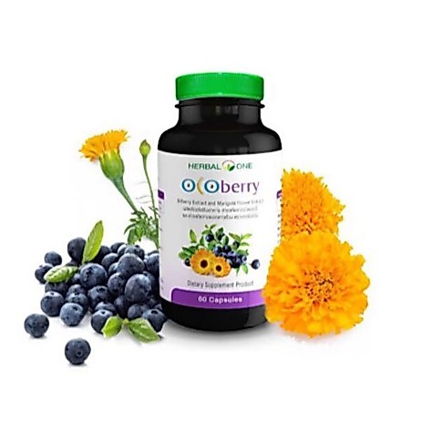 อ้วยอันโอสถ Herbal one Ocoberry โอโคเบอร์รี่ วิตามินบำรุงสายตา บำรุงดวงตา ยาบำรุงตา จากดาวเรือง บิลเบอรี่ ขนาด 60 เม็ด