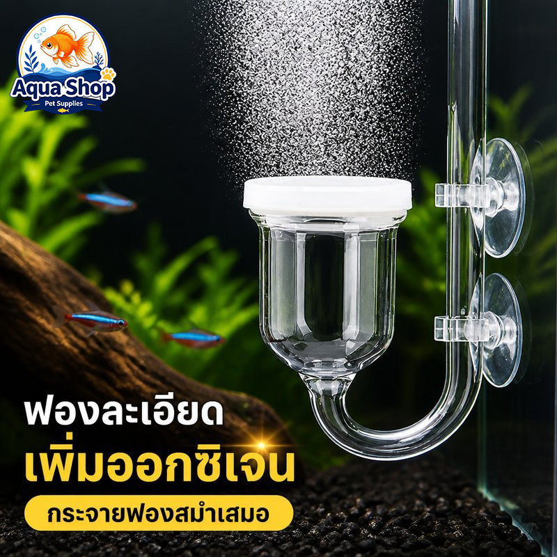 หัวทรายออกซิเจนตู้ปลา หินอากาศฟองละเอียด ปั๊มลมปลา ฟองละเอียด 25 35 มม พร้อมถ้วยดูด เซรามิก