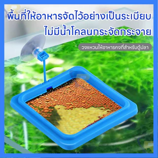 ⚡สต็อกไทย⚡วงแหวนให้อาหารปลาลอยน้ำ ป้องกันอาหารกระจาย ปรับระดับน้ำอัตโนมัติ พร้อมที่ดูดติดตู้ กันอาหารไหลเข้าตัวกรอง