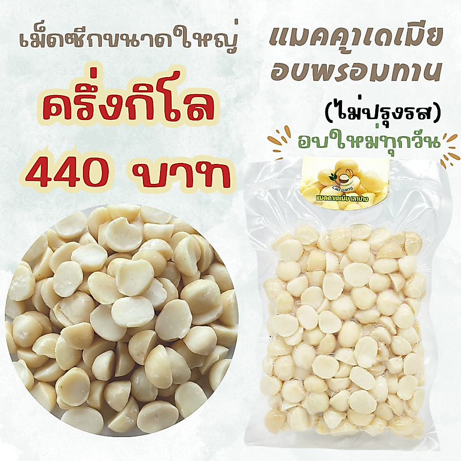 แมคคาเดเมีย เม็ดซีกA1 อบพร้อมทาน ขนาดใหญ่ 500 กรัม