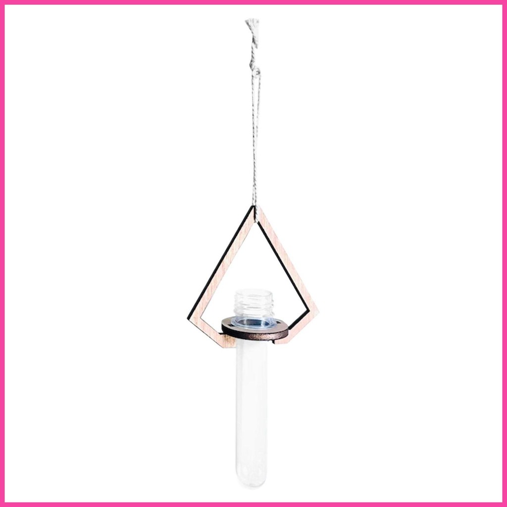 ผู้ถือพืชโฆษณา Wall Planter Propagation Test Tube แจกัน Hydroponic Test Tube Pothos Tillandsia ตกแต่