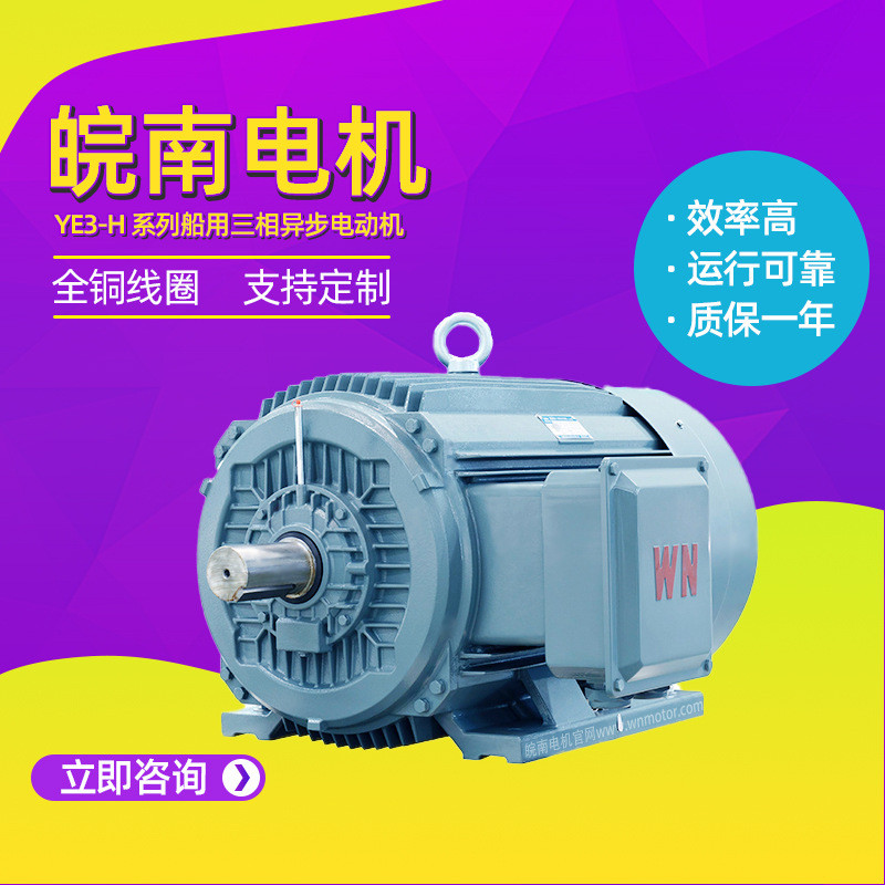 Anhui Southern Motor YE3-H Series Marine All Copper Coil Three-Phase Abnormal Step Motor Agent 4.6