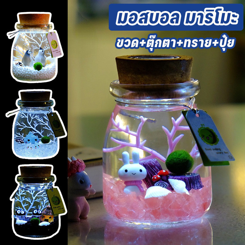 มอสบอล มาริโมะ Marimo ขวด+ตุ๊กตา+ทราย+ปุ๋ย ของขวัญนำโชคจากญี่ปุ่น สวยงาม เลี้ยงง่าย คนรักต้องชอบ