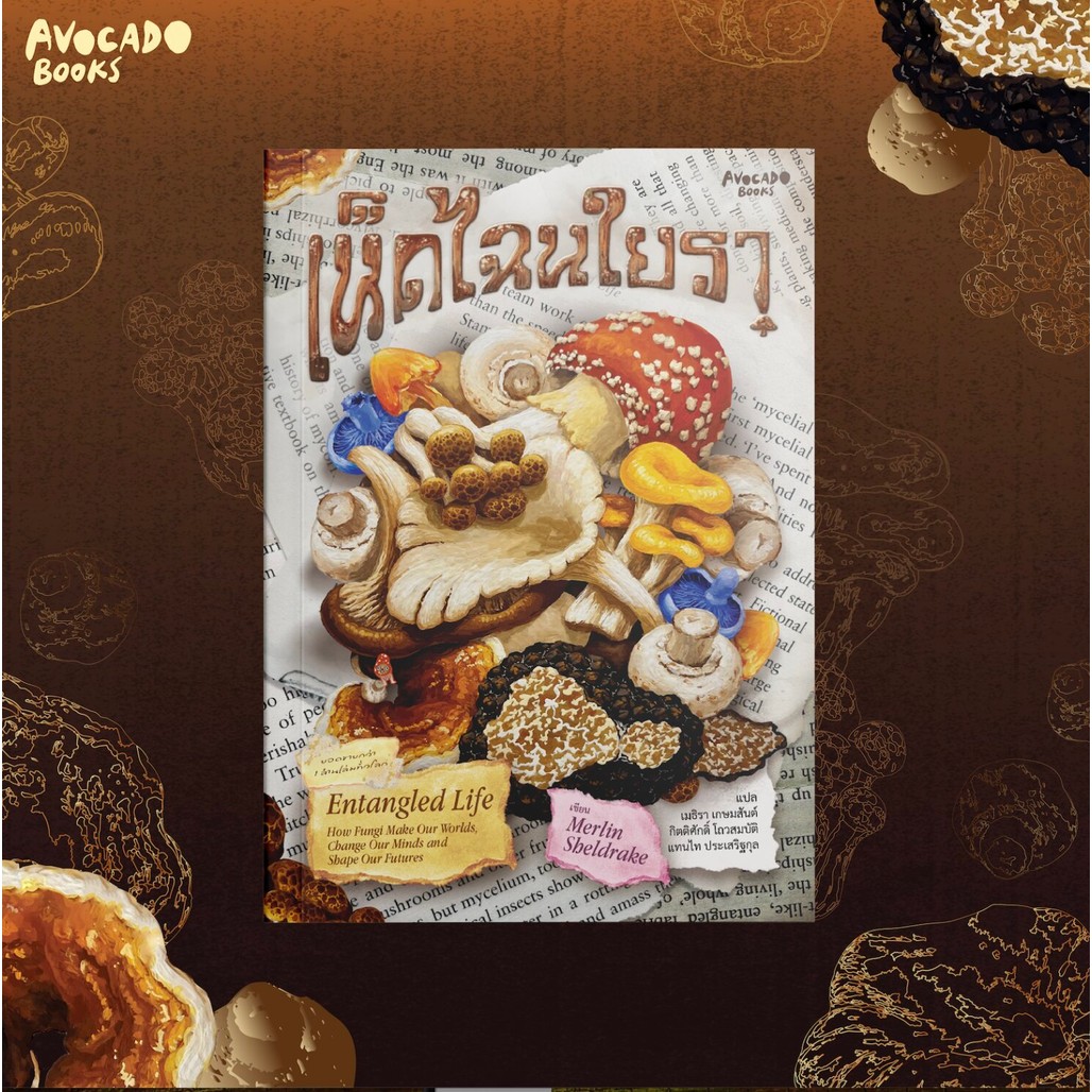 เห็ดไฉนใยรา Entangled Life