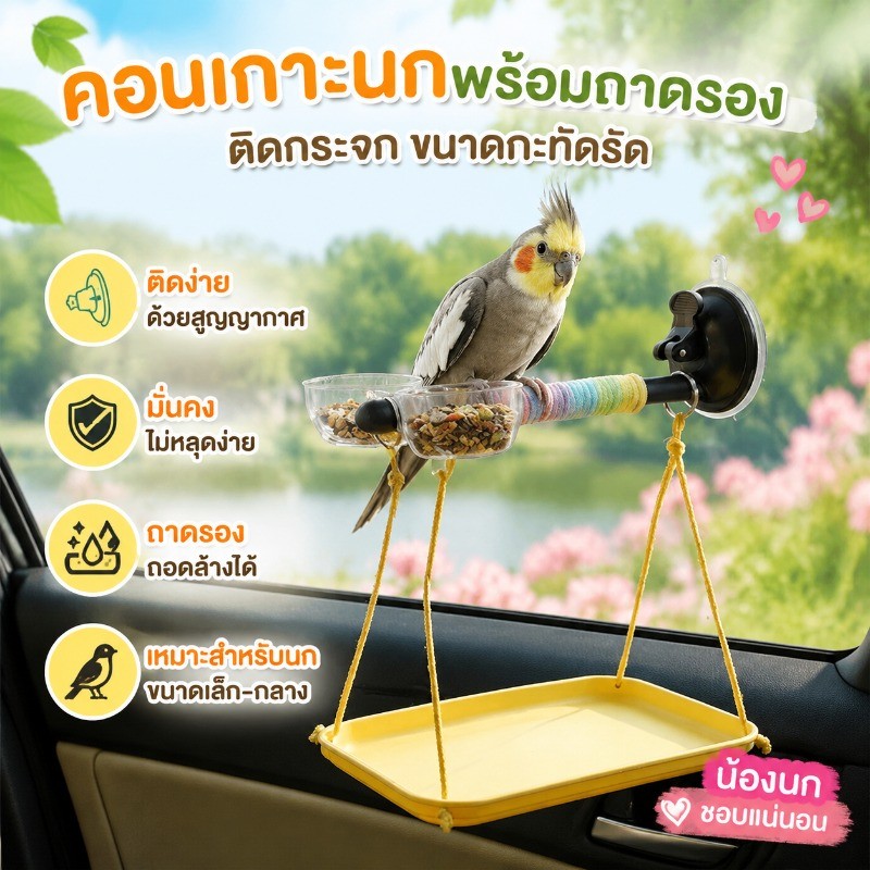 คอนยืนนก คอนยืนนกแก้ว คอนยืนแบบดูดติด ของเล่นนก สามารถติดตั้งบนกระจกหรือกระเบื้องได้ ติดตั้งง่าย