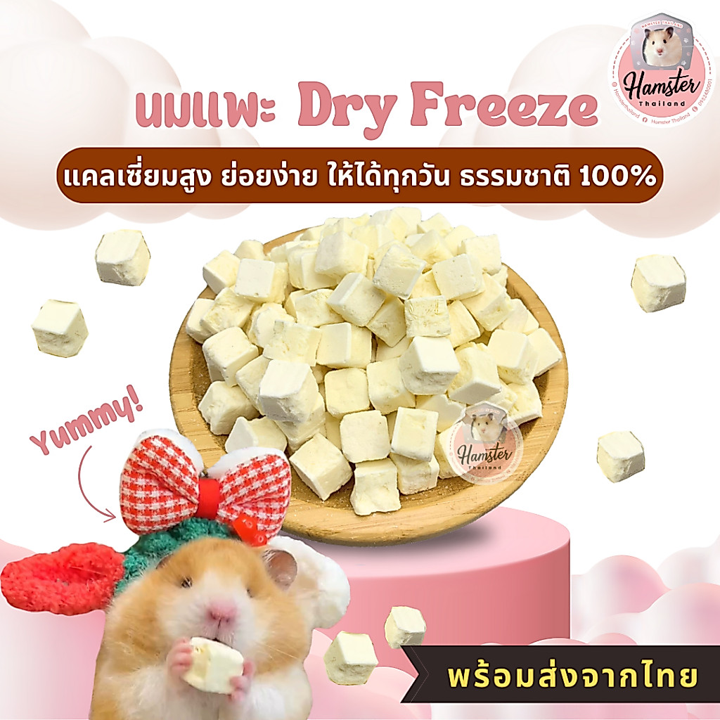 Hamsterthailand นมแพะ ดรายฟรีซ Goat milk Dry Freeze นมแพะสัตว์เลี้ยง ขนม อาหาร