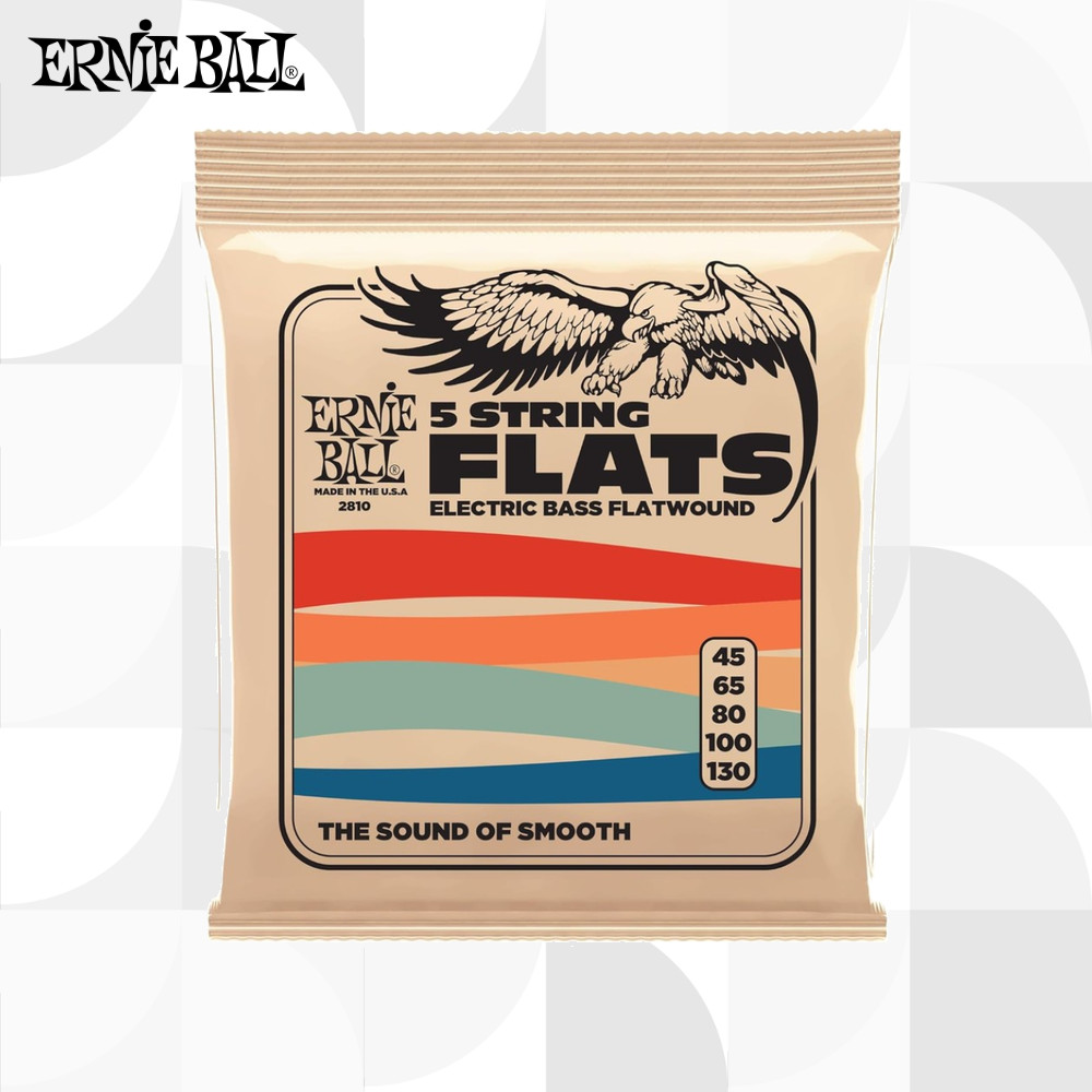 ERNIE BALL 2810 Flatwound Bass (.045-.130) 5 สาย Bass Strings สายเบส【ส่งตรงจากญี่ปุ่น】