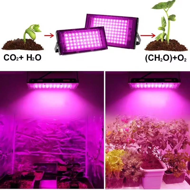 พร้อมส่ง💥ไฟปลูกต้นไม้ LED Grow Light 50W/100W แสงสีม่วง เร่งการเจริญเติบโต พร้อมสวิตช์เปิดปิด เหมาะสำหรับผักและไม้ดอก