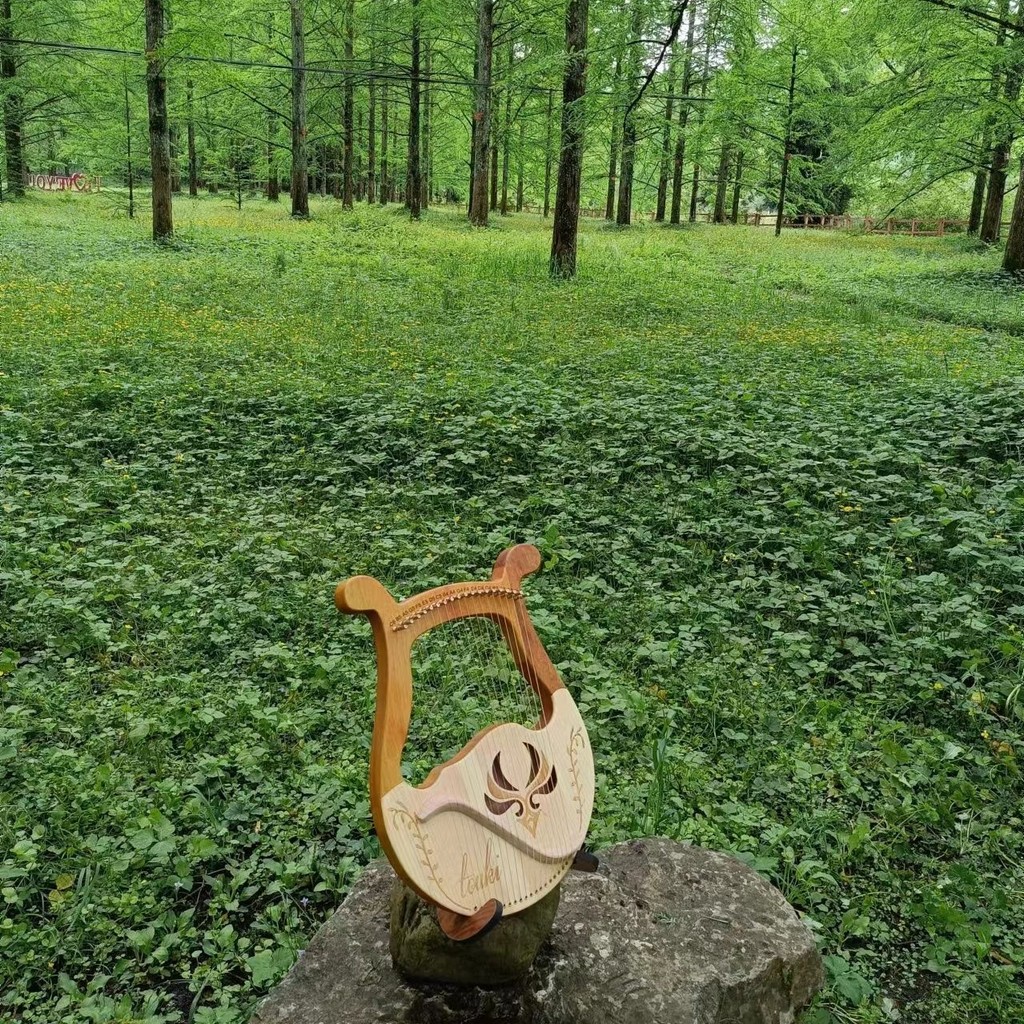 เครื่องดนตรีดนตรี lyre Harp 16 Niche Portable 19 lyre Small lyre lyre Beginners