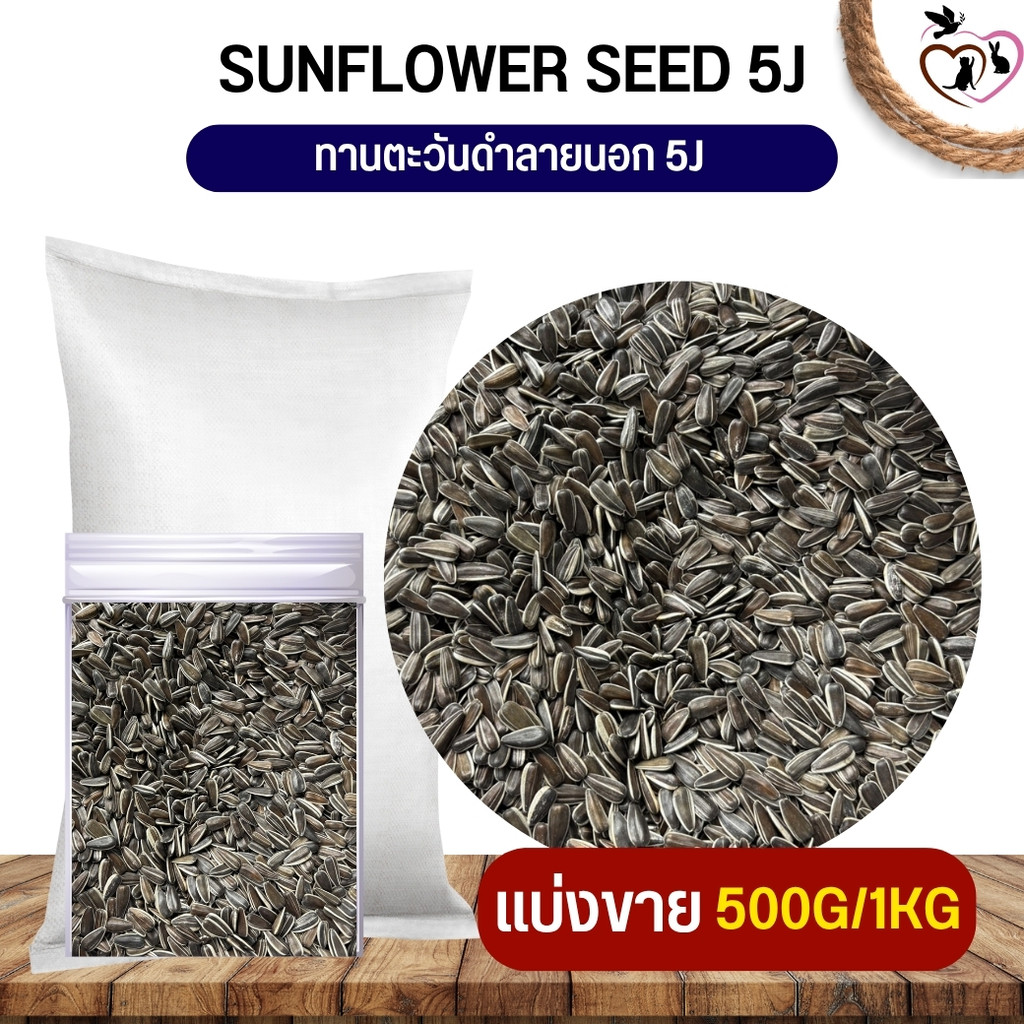 ทานตะวันดำลายนอก 5J (แบ่งขาย 250g/500g/1kg)