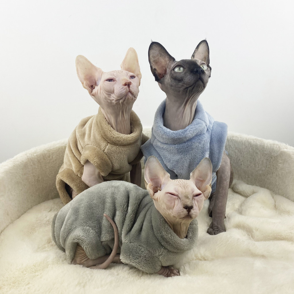Sphinx Hairless Cat Flannel Thermal เสื้อแจ็คเก็ตสี่ขา