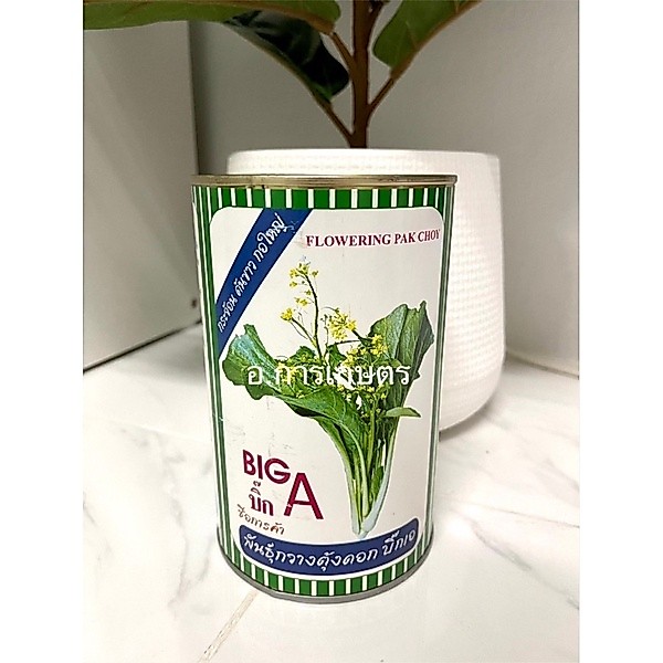 ใช้โค้ตพร้อมกันได้ กวางตุ้งดอก กระจ้อน ตราปลาทอง ขนาด 500กรัม เมล็ดกวางตุ้งดอก ผักกวางตุ้งดอก