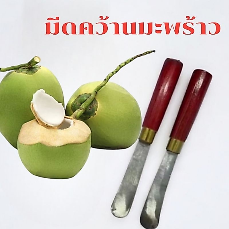 (สินค้ามีพร้อมส่ง)มีดขูดมะพร้าวด้ามไม้ เอาเนื้อมะพร้าวอ่อน มีดสแตนเลสสีขาวคุณภาพสูง