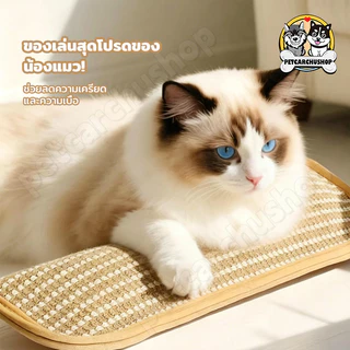 กัญชาแมว ของเล่นแมว หมอนแมว 100% ธรรมชาติบริสุทธิ์ ดึงดูดแมว ทนต่อการสึกหรอ