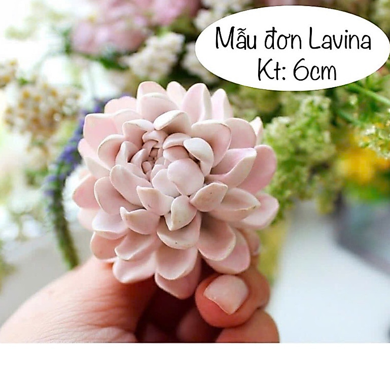 แม่พิมพ์ซิลิโคน Lavina Peony