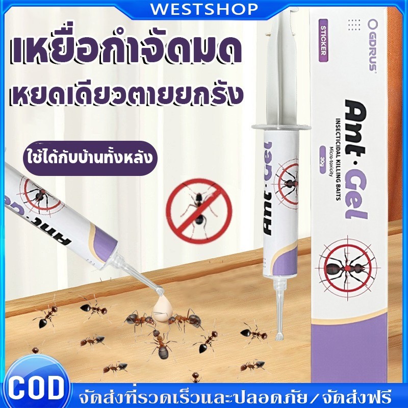 เจลกำจัดมด แอนติแอนท์ เหยื่อกำจัดมด เจลล่อมด หยดเดียวตายยกรัง 60g/30g เพิ่มปริมานขึ้น