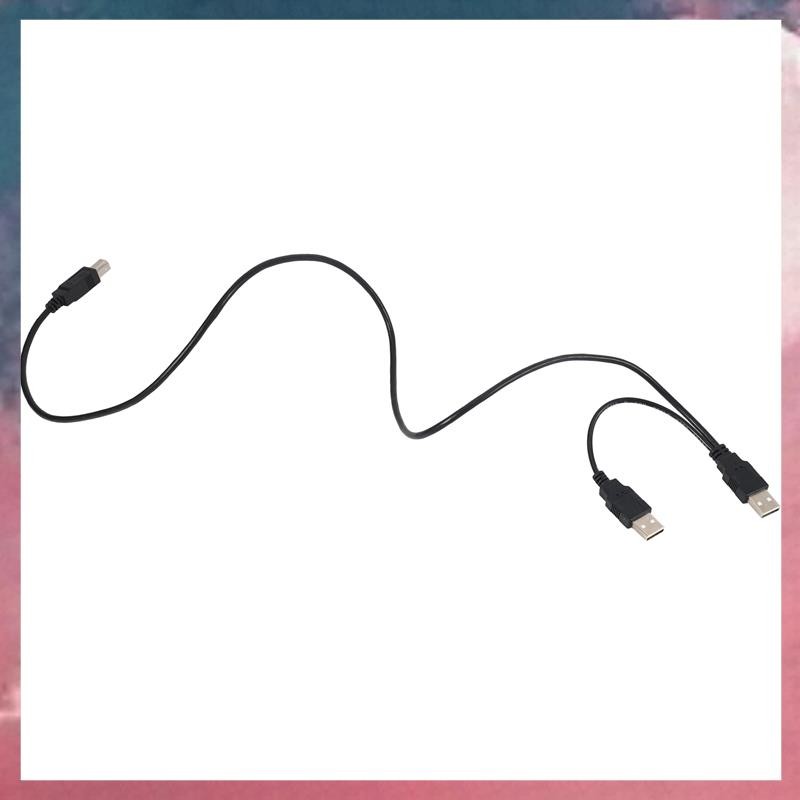 Dual USB 2.0 Male to Standard B Male Y Cable 80cm for Printer & Scanner & External Hard Disk Drive
