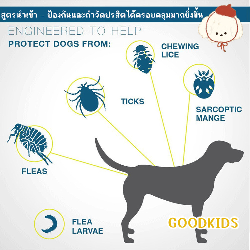STOCK ปลอกคอกำจัดเห็บหมัด สำหรับสุนัขและแมว ปรับความยาวได้ ป้องกันแมลง夏ฤดูร้อน ราคา ถูกที่สุด ดีลบีเคเค แกลเลอรีภาพที่ 5