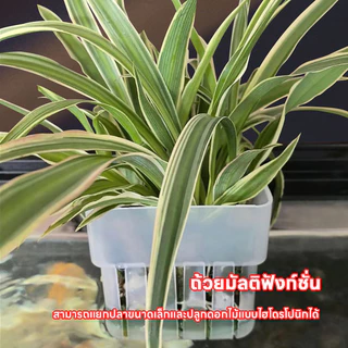ตะกร้าปลูกพืชน้ำ ตะกร้าปลูกผักบนตู้ปลา ตะกร้าปลูกผักบนตู้ปลา สะดวกสบาย ไม่เป็นอันตรายต่อปลาและพืช ปลูกพืชได้หลากหลายชนิด