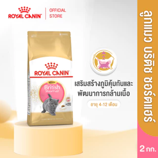 Royal Canin Kitten British Shorthair 2kg อาหารเม็ดลูกแมวพันธุ์บริติช ชอร์ทแฮร์ อายุ4-12เดือน (Dry Cat Food, โรยัล คานิน)