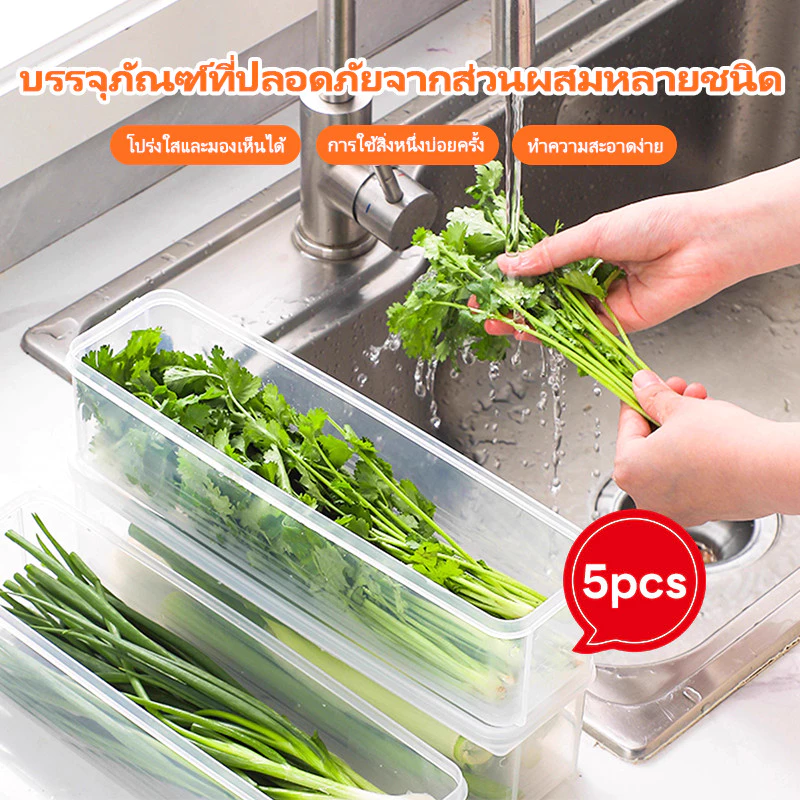 กล่องเก็บของนำเข้า กล่องเก็บอาหาร กล่องเก็บผักชีและต้นหอม สามารถเก็บผักชีและต้นหอมให้สด ป้องกันฝุ่นและความชื้น เกรดอาหาร