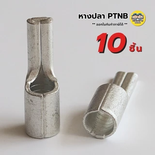 **ราคาต่อ 10 ชิ้น** หางปลาเข็มแบน เปลือย PTNB 10-12 16-13 25-15 35-20 50-20 แบบหนา หางปลา