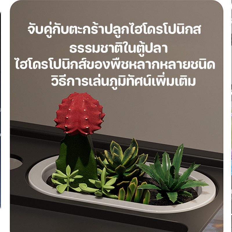 ตู้ปลา ตู้ปลากัด ตู้ปลาเลโก้ ตู้ปลาขนาดเล็ก LED เหมาะสำหรับเลี้ยงปลากัด  ความคมชัดสูง แข็งแรงทนทาน - รูปที่ 4