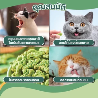 คุกกี้หญ้าแมว 120 g คุ้กกี้แมว บิสกิตเเมว ขนมสัตว์เลี้ยง ขนมเเมว หญ้าแมวฟรีซดราย ช่วยสำรอกก้อนขน ผสมปลาแซลม่อน