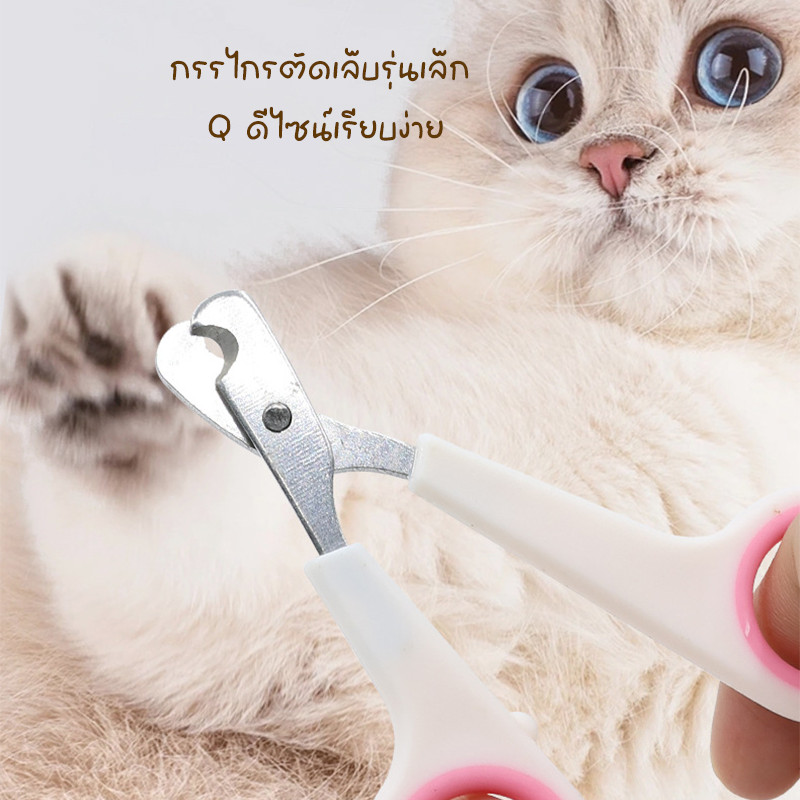 กรรไกรตัดเล็บแมวแบบพิเศษ ✂️ เครื่องมือดูแลเล็บสัตว์เลี้ยง กรรไกรตัดเล็บแมว/สุนัข ขนาดเล็ก ใช้ง่าย ปลอดภัย