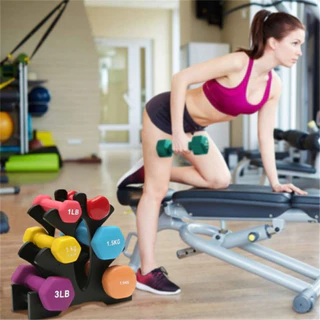 ชั้นวางดัมเบล 3 ชั้น / ขาตั้งแร็คต้นไม้ดัมเบลยกน้ําหนัก / Home Gym Dumbbell Storage Rack