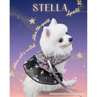 Glitter Pooch Harness ชุดรัดอก สายจูง เสื้อผ้า สุนัข, หมา, แ…