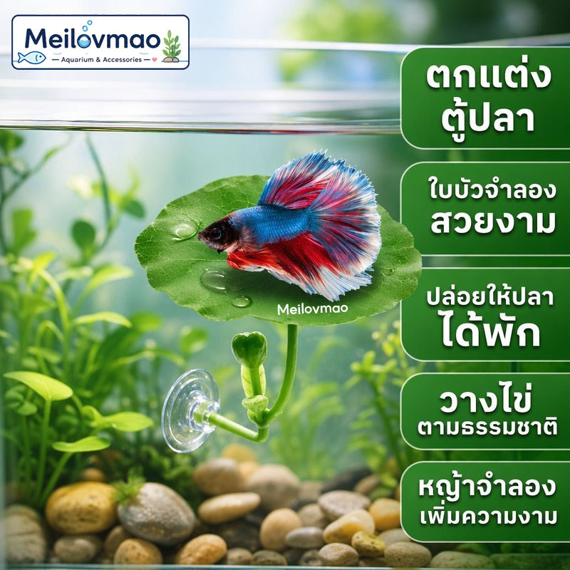 Meilovmao ตก แต่งตู้ปลา ใบบัวจำลอง ปล่อยให้ปลาได้พัก การวางไข่ หญ้าจำลอง ทำให้ตู้ปลาสวยขึ้น
