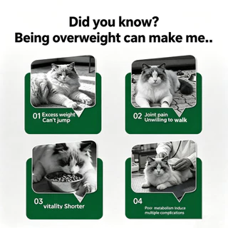 NatureMagic Cat อาหารแห้งไขมันต่ําควบคุมน้ําหนัก Grain-Free Chicken Cat อาหารแห้ง Joint Care Gut Health 2.27กก.
