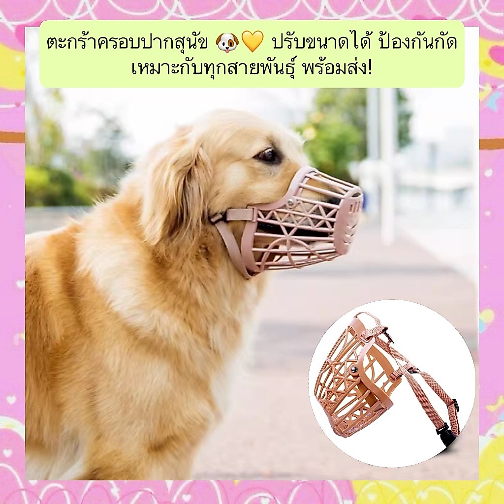 PP-1241 ตะกร้อครอบปากสุนัข 🐶💛 ปรับขนาดได้ ป้องกันกัด เหมาะกับทุกสายพันธุ์ พร้อมส่ง!