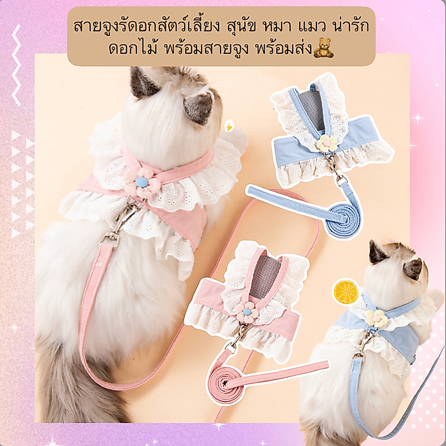 BN-508 สายจูงเสื้อรัดอกสัตว์เลี้ยง ลายดอกไม้สุดน่ารัก สำหรับหมา แมว พร้อมสายจูง พร้อมส่งเลยจ้า🧸🌸  ✨ คุณสมบัติเด่น: 	•	ดี
