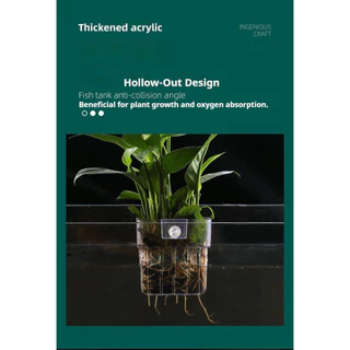 TOPOP CLUB Aquarium Plant Pots Water Plant โปร่งแสงถังปลาพืชถ้วย Hangable Aquatic Plant Holder