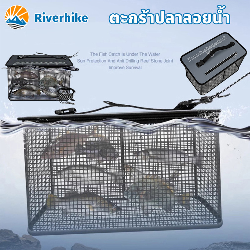 ตะกร้าปลาลอยน้ำ กรงปลาพับได้ กรงตาข่ายตกปลาพับได้ ช่วยให้ปลาอยู่ได้นาน แข็งแรงและทนทาน 19 ลิตร และ 47 ลิตร